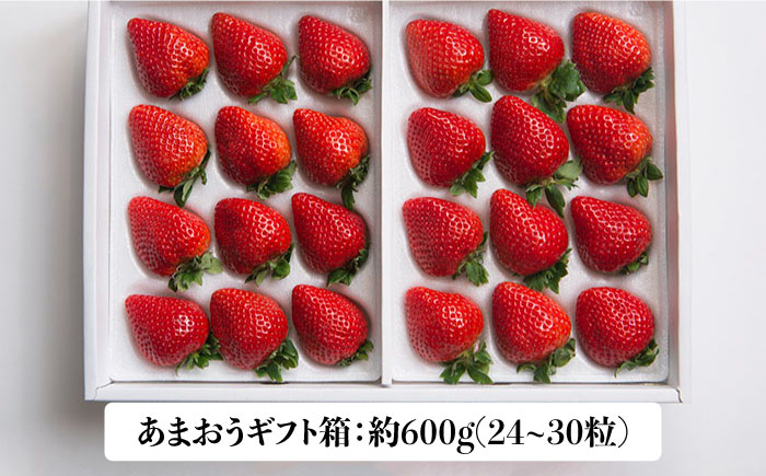 【12月上旬より発送】福岡産 あまおう ギフト箱（24-30粒）＜南国フルーツ株式会社＞那珂川市 [GCD014]