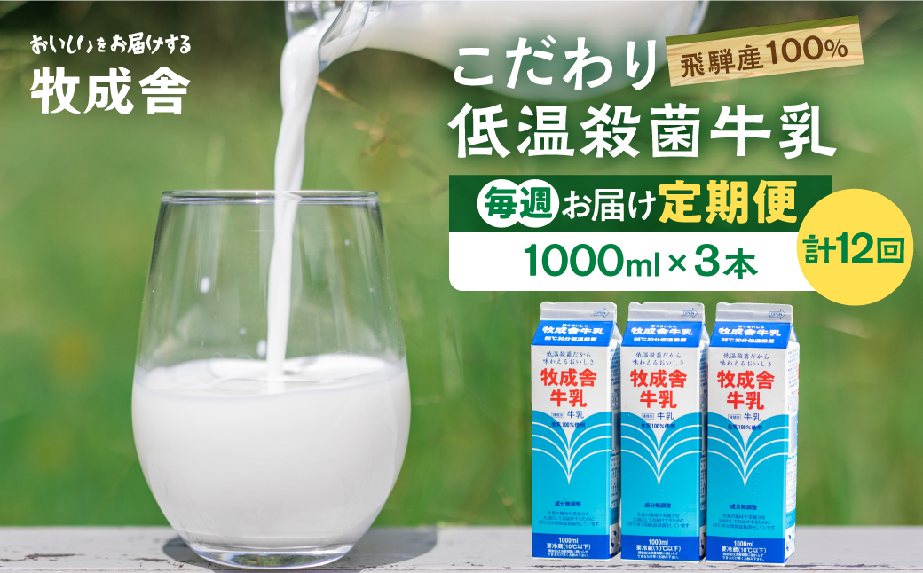 【毎週定期便 牛乳 3本×12回】 毎週 回数選べる 3ヶ月 飛騨産生乳100％ 牧成舎 美味しい低温殺菌牛乳 乳製品 飛騨 お楽しみ