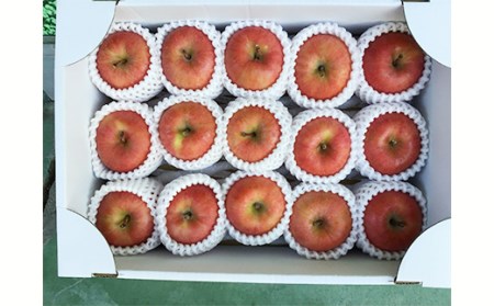 《令和6年産先行受付》山形県中山町産蜜入りんご高徳・こうとく【秀品】約3kg リンゴ 林檎 山形県産 フルーツ 果物 くだもの F4A-0315