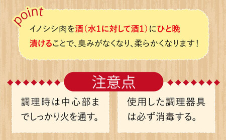 猪肉ハンバーグ750gセット（10個入り 5パック詰め合わせ）長崎県波佐見産 イノシシ肉100%使用【モッコ】[CE10]