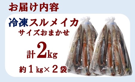 三陸水産 冷凍スルメイカ 約2kg （約1kg×2袋） イカ 刺身 いかの塩辛 いかめし いかげそ イカ焼き フライ いかソーメン 新鮮 海産物 魚介 使いやすい 便利