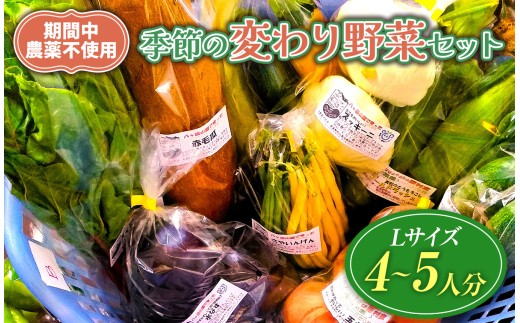 【栽培期間中農薬不使用・無化学肥料・無家畜性肥料で育てた】 季節の 変わり野菜セット ( Lサイズ )【2026年7月下旬～発送】| 旬 野菜 珍しい 10種類前後 4～5人分 セット シードマイスター 農薬不使用 無化学肥料 無家畜性肥料 信州 八ヶ岳 長野県 諏訪郡 原村