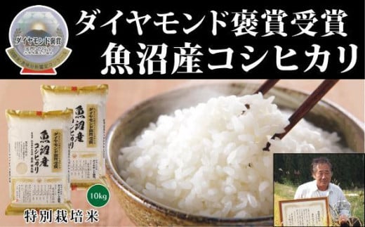【令和7年産新米】最高級魚沼産こしひかり 10kg（5kg×2袋） ダイヤモンド褒賞受賞 特別栽培米 新潟県 津南町 コシヒカリ コメ 米 お米