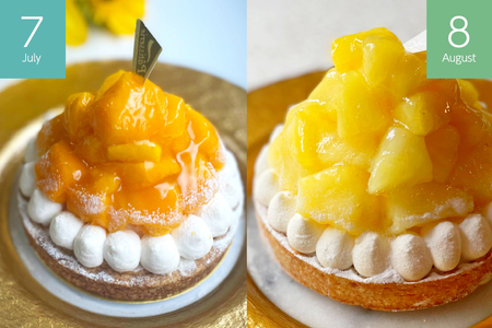 フルーツ タルト 1ホール 14cm 3回 定期便 総計3ホール [心優-Cotoyu Sweets- 長崎県 平戸市 hr42bgy420460]