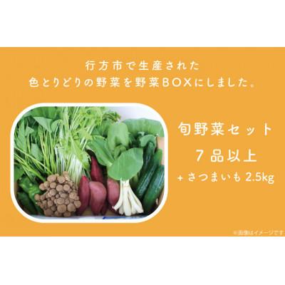 ふるさと納税 行方市 野菜王国なめがたの旬野菜便(さつまいも入り)CU-131 |  | 03