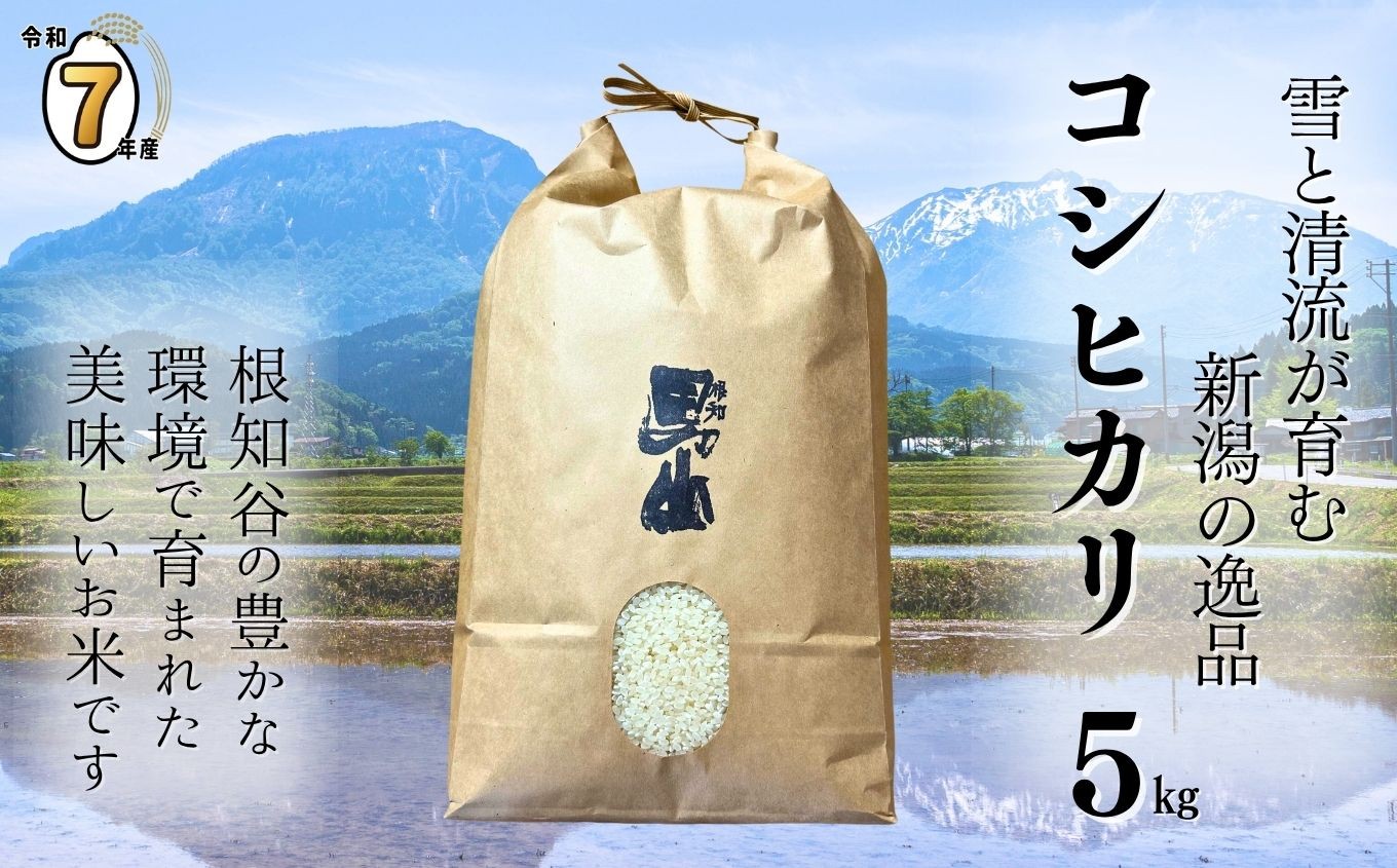 
            【選べる発送時期】令和7年産新米予約 新潟県糸魚川産コシヒカリ 5kg 2025年産 根知男山の酒蔵が作る自慢の逸品【米 お米 白米 こめ コメ ご飯 ライス ふるさと納税米 ブランド米 こしひかり 新潟県 糸魚川 食品 人気 おすすめ 5キロ 渡辺酒造店 減農薬】
          