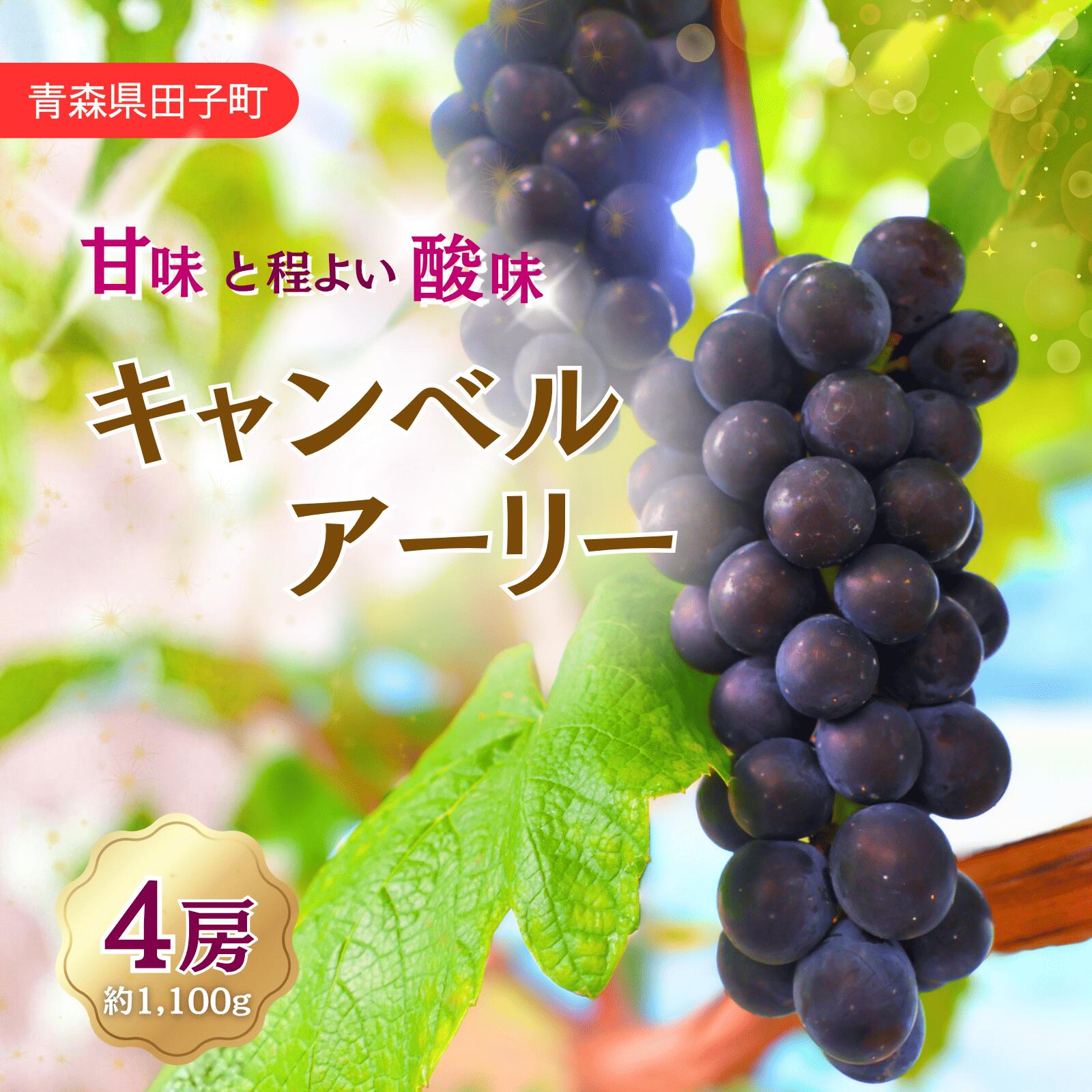 【ふるさと納税】青森県田子町産　ぶどう「キャンベルアーリー」 1kg　出荷開始：9月17日〜9月28日まで