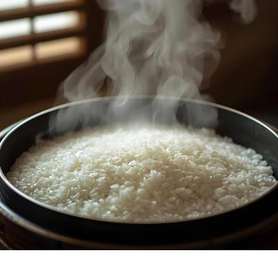 ふるさと納税 西桂町 【令和7年産】山梨県西桂町産 富士山麓「水のまち」のこしひかり精米 5kg×2袋 |  | 03