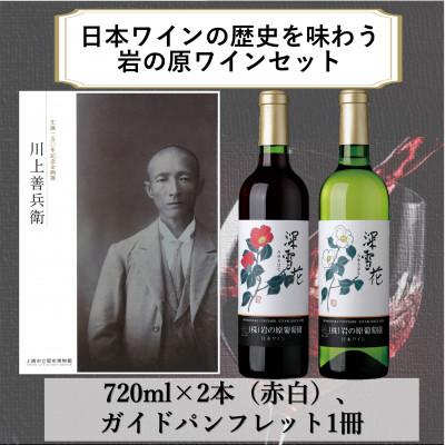 ふるさと納税 上越市 日本ワインの歴史を味わう岩の原ワインセット(赤白2本、冊子1冊)
