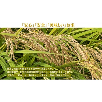 【精米】令和7年宮城県登米市産「ひとめぼれ」10kg×1袋【1674235】