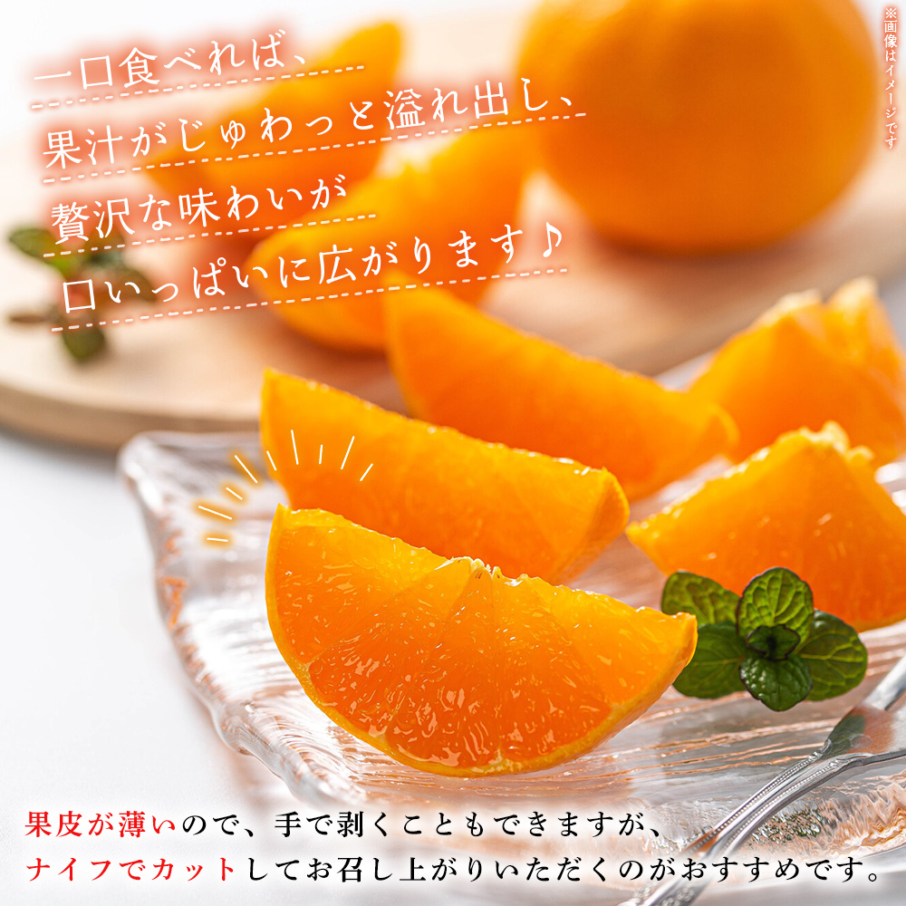 ＜産地直送！愛媛県明浜町産 せとか 約5kg＞ セトカ 果物 くだもの みかん ミカン 柑橘 フルーツ 柑橘類 果実 高級 糖度 果汁 柑橘の大トロ 甘い 国産 特産品 宇都宮農園 愛媛県 西予市