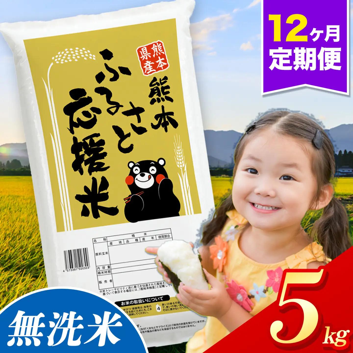 【12ヶ月定期便】米 無洗米 熊本 ふるさと応援 定期便 米 5kg