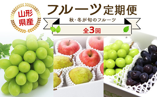 【令和6年産先行予約】 《定期便3回》 JA 秋冬フルーツ定期
