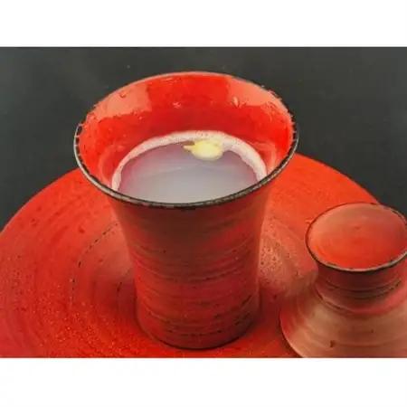 器而庵　アミューズカップ　根来_装飾品・工芸品  陶器・漆器 _【配送不可地域：離島・沖縄県】【1584168】