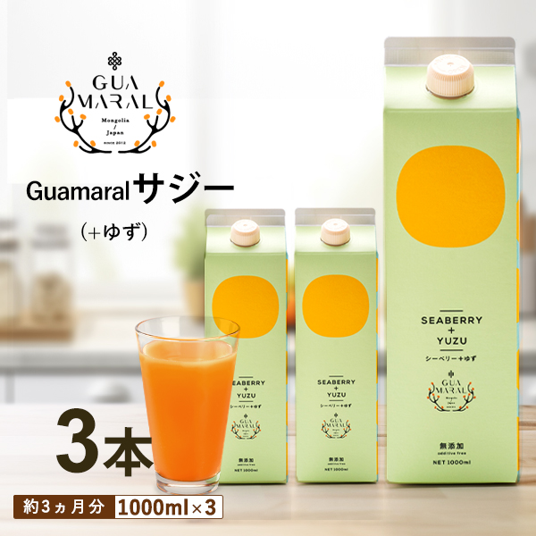 サジージュース+ゆず 1000ml×3本セット | サジージュース サジー シーベリー 沙棘 グアマラル 健康ドリンク ドリンク ジュース 健康 美容 栄養 果汁 鉄分補給 栄養補給 健康食品 贈答 贈り物 プレゼント ギフト 茨城県 古河市 送料無料 _DX08