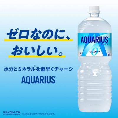 ふるさと納税 砺波市 アクエリアスゼロ2.0LPET×6本