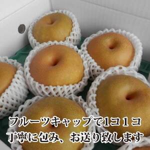 八幡浜の梨、果汁たっぷり!!「豊水」4キロ【C39-37】【配送不可地域：離島】【1316567】