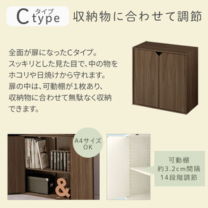【完成品でお届け】収納ボックス〔Cタイプ〕（ピンク×ホワイト）収納棚 扉付き キャビネット ラック 棚 カラーボックス スリム 2段 可動棚 本棚 収納家具 リビング LKANET300248-C-P