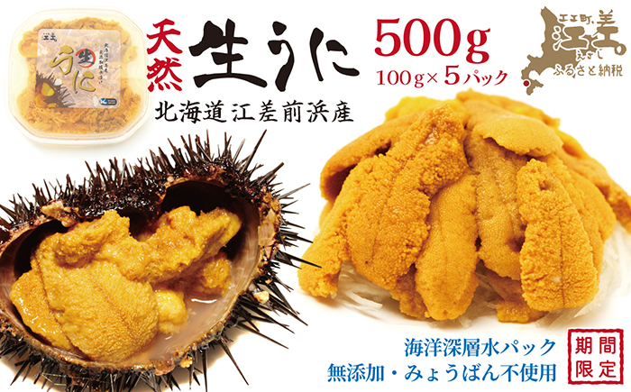 ＼水揚げ次第順次出荷／北海道 江差前浜産 生うに 500g（100g×5パック）【無添加・みょうばん不使用】令和8年　江差産天然キタムラサキウニ　日本海熊石産海洋深層水　塩水ウニ　素材を生かした自然の味　国産うに　雲丹　100グラムパック個包装