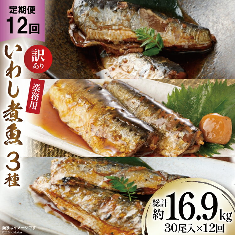 【ふるさと納税】定期便 《12ヶ月連続お届け》 訳あり 業務用 いわし煮魚 (3種×10尾 計30尾入 約1.4kg)×12回 総重量約16.9kg [カネダイ 宮城県 気仙沼市 20563282] 生姜煮 梅肉煮 みぞれ煮