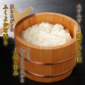 【令和6年産】 新米 無洗米 コシヒカリ 10kg 5kg 2袋 新潟産 特別栽培米 こしひかり 斗伸 新潟県 コメ お米 米 こめ しんまい 新潟米 新潟 新発田  toushin011