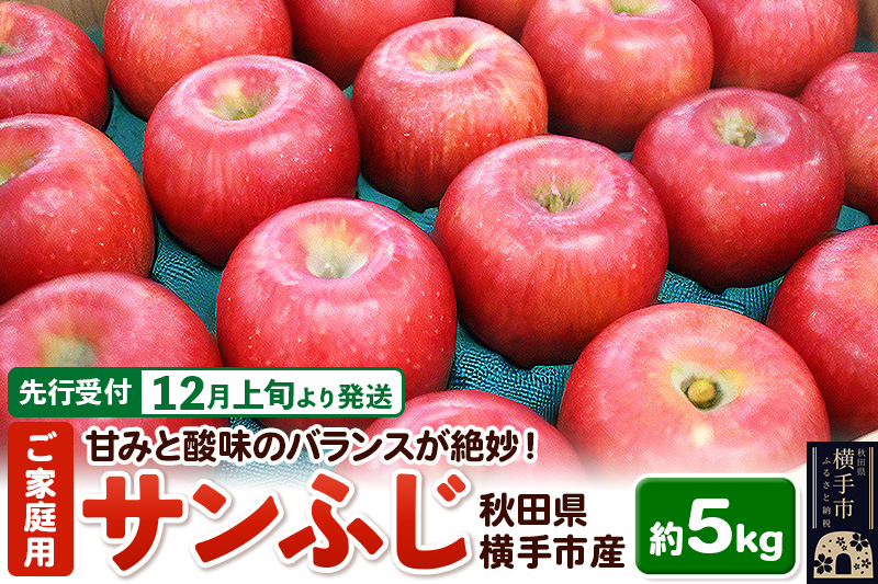 【先行受付】12月上旬より発送 秋田県横手産 りんご サンふじ ご家庭用 約5kg