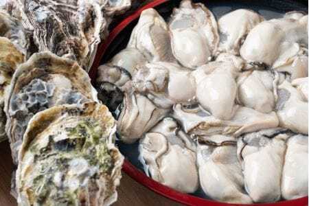 広島安芸津産　生牡蠣むき身500g .殻付き牡蠣10個セット【配達不可：離島】【配送時期：11月上旬～4月中旬】