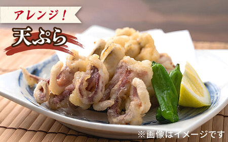剣先イカ 5本 セット【丸徳水産】《対馬市》鮮度抜群 新鮮 ケンサキイカ シロイカ 下処理済 刺身 BBQ 惣菜 天ぷら フライ 海鮮[WAE011] コダワリイカ・いか こだわりイカ・いか おすすめ