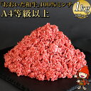 【ふるさと納税】おおいた和牛100％ミンチ 1kg（500g×2） 和牛 挽肉 ひき肉 豊後牛 大分県産 小分け 国産 冷凍 送料無料