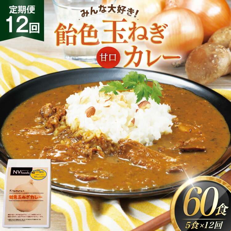 【ふるさと納税】カレー セット 玉ねぎ カレー 5食 セット 甘口 12回 定期便 [カレー工房NVfoods 長崎県 平戸市 hr42bgy400066] カレー スパイス レトルト セット