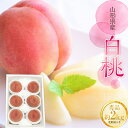 【ふるさと納税】《2025年先行予約》山形県産 白桃 2kg （5玉〜8玉） 秀品 もも モモ 桃 デザート フルーツ 果物 くだもの 果実 食品 山形県 FSY-0823