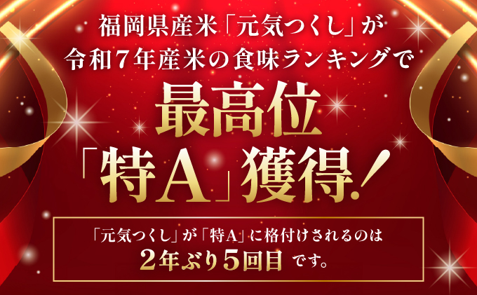 【6ヶ月定期便】令和7年産 福岡県産米 元気つくし 15kg 精米 ※北海道・沖縄・離島は配送不可 CY013sub6