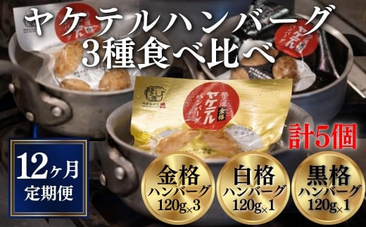 【定期便 全12回】格之進＼超人気！TVでも紹介／ヤケテルハンバーグ「金格・白格・黒格」3種セット 600g〈120g×5個〉 ハンバーグ 個包装 惣菜 おかず お弁当 湯煎 湯せん 温めるだけ 調理済 簡単調理 ハンバーグ湯煎 冷凍ハンバーグ 返礼品 国産牛 黒毛和牛 お取り寄せ ギフト 人気  岩手県一関市