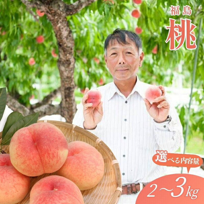 【ふるさと納税】福島 桃 約2kg 約3kg【2026年発送 先行予約】