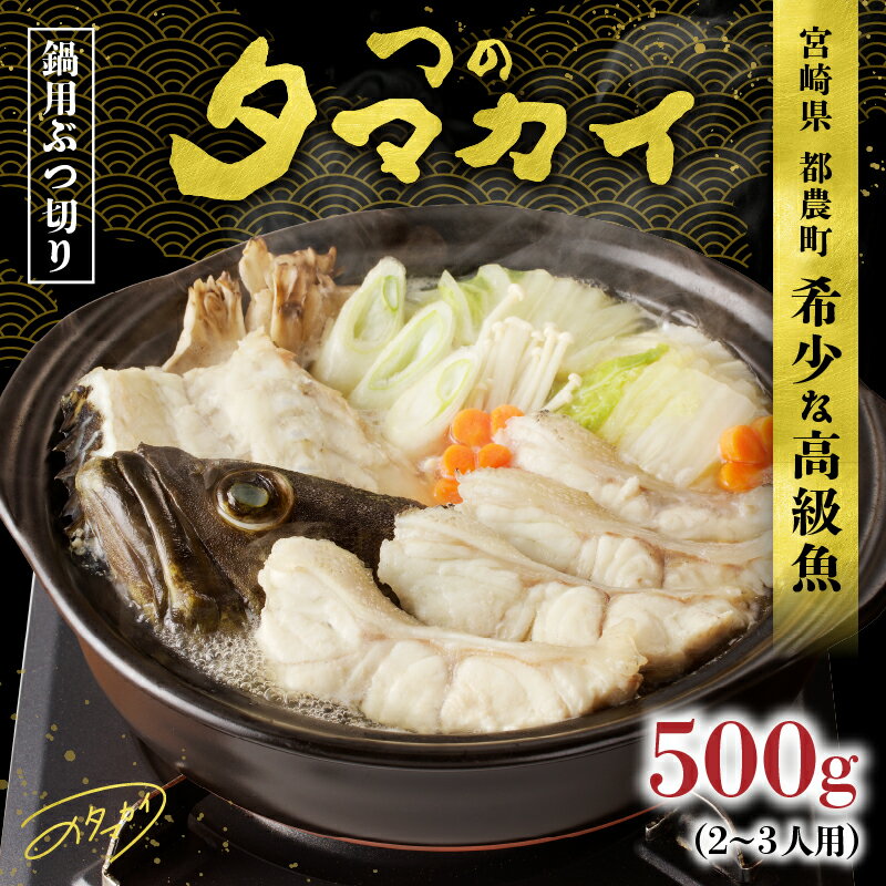 【ふるさと納税】 世界初の陸上養殖！！ 都農町産 つの タマカイ ( 鍋用 ・ ぶつ切り ) 2〜3人前 計500g 魚 魚介 海産物 シーフード 養殖 希少 コラーゲン 簡単調理 鍋 高級魚 新鮮 おすすめ 特産品 加工品 真空パック ギフト 贈り物 贈答 国産 宮崎県 都農町 送料無料