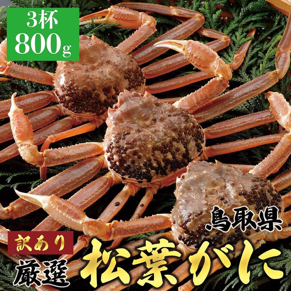 
            1049.【2025年11月発送】特撰 松葉がに（なま）【訳あり】800g超の大きいサイズ 食べ応えあり 特大3杯
          