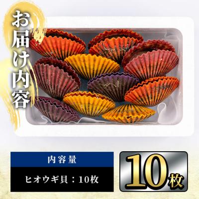 ふるさと納税 佐伯市 ヒオウギ貝 (10枚) |  | 01