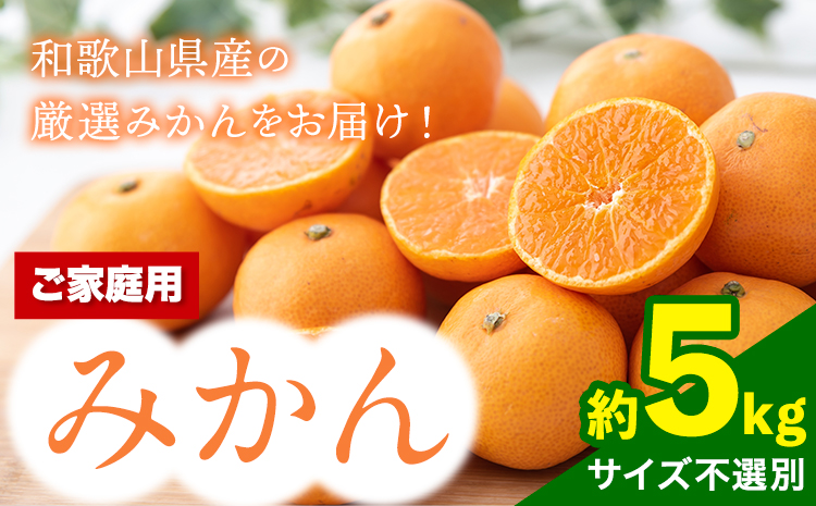  【訳あり/ご家庭用】 先行予約 和歌山県産みかん 約5kg【サイズ混合】 サンファーム《10月上旬-1月下旬頃出荷》和歌山県 紀の川市 みかん ミカン 柑橘 果肉