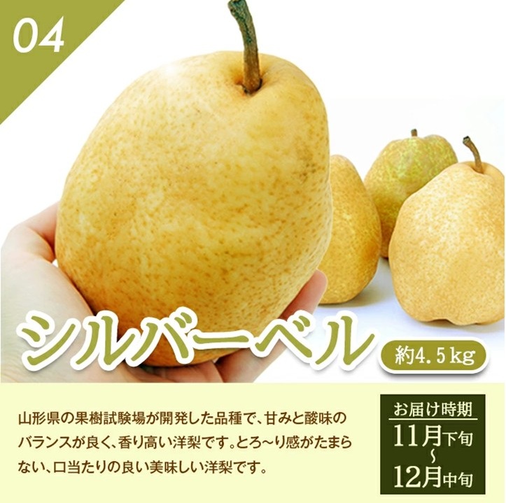 SG0056　【4回定期便】季節のフルーツ頒布会2025(アンデスメロン、和梨、庄内柿、洋梨〔シルバーベル〕)