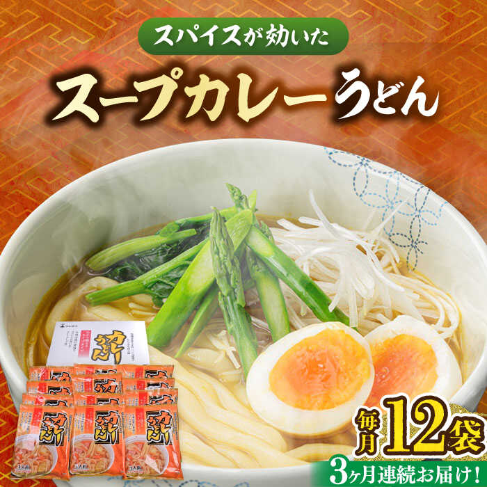 【ふるさと納税】【第3回定期便】 スープカレーうどん 12食 《豊前市》【富士菊】[VAI071] うどん カレー 麺 麺類 スープカレー カレーうどん 小分け 個包装 国産 福岡 ご当地 定期便 33000 33000円