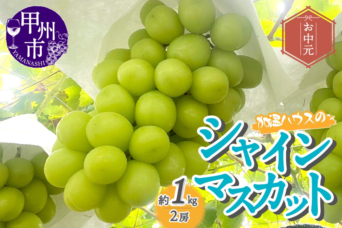 
                  【お中元対応】加温ハウスのシャインマスカット2房約1kg入り箱【2026年発送】（FGF）B-890-1　【シャインマスカット シャイン 葡萄 ぶどう ブドウ 令和8年発送 期間限定 山梨県産 甲州市 フルーツ 果物 】
                