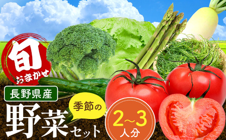 おまかせ野菜セット 2～3人分 約 5kg | 野菜 やさい 旬 の 野菜 長野県 塩尻市
