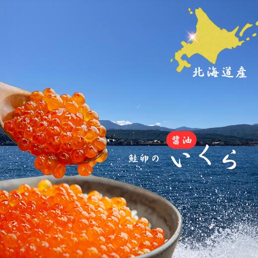 【ふるさと納税】7-010-036　【北海道産】いくら醤油漬け 100g入　お届け：入金確認後、1週間～1ヶ月以内