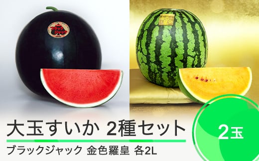 大玉すいか ブラックジャック 金色羅皇 各2Lサイズ×1玉ずつ 計2玉 食べ比べセット① 2025年産 令和7年産 山形県産 大石田町産 mn-su2bk2