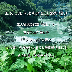 栽培期間中 農薬不使用 よもぎのお風呂 1パック 1pあたり 125g エメラルドよもぎ 化学肥料不使用 薬草 よもぎ蒸し ヨモギ蒸し よもぎ風呂 よもぎ 健康 美容 血行 肌 送料無料 入浴剤 エメ