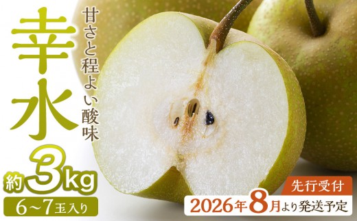 
            【2026年発送／先行予約】梨「幸水」約3kg（6～7玉入）【松崎果樹園】
          