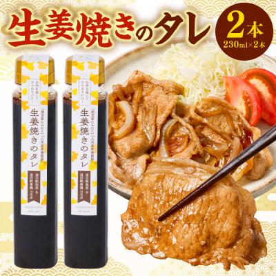 ふるさと納税 八代市 生姜焼きのたれ 2本セット_065-6678