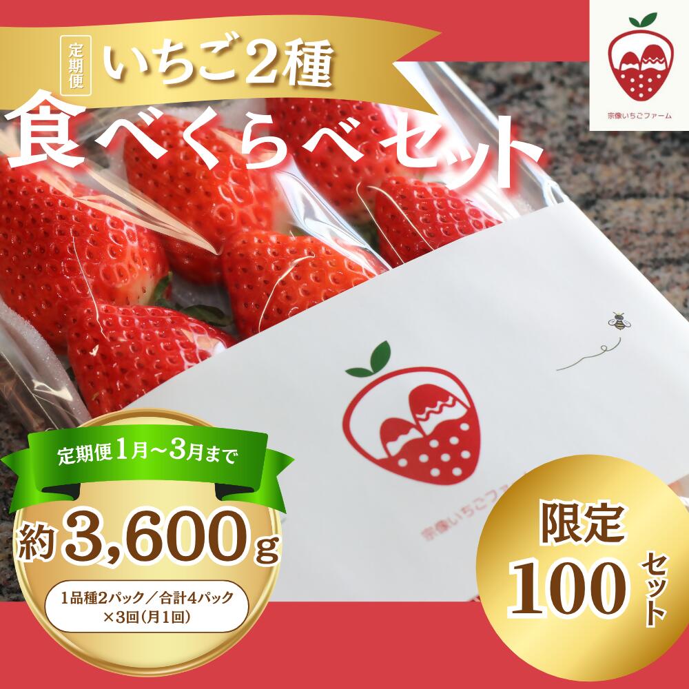 【ふるさと納税】【定期便／3ヶ月連続お届け】何が届くかお楽しみ！人気のいちご2品種食べ比べ定期便 約300g×4P_HB0213 イチゴ 苺 詰め合わせ あまおう 紅ほっぺ さがほのか おいCベリー とちおとめ かおりの 定期便 宗像 福岡