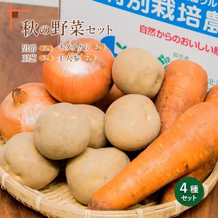 【先行予約】秋の野菜4品セット【31000604】