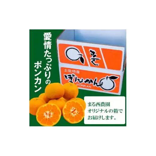 【数量限定】1月から発送開始 訳あり ポンカン 5kg 産地直送 季節限定 高知県産　